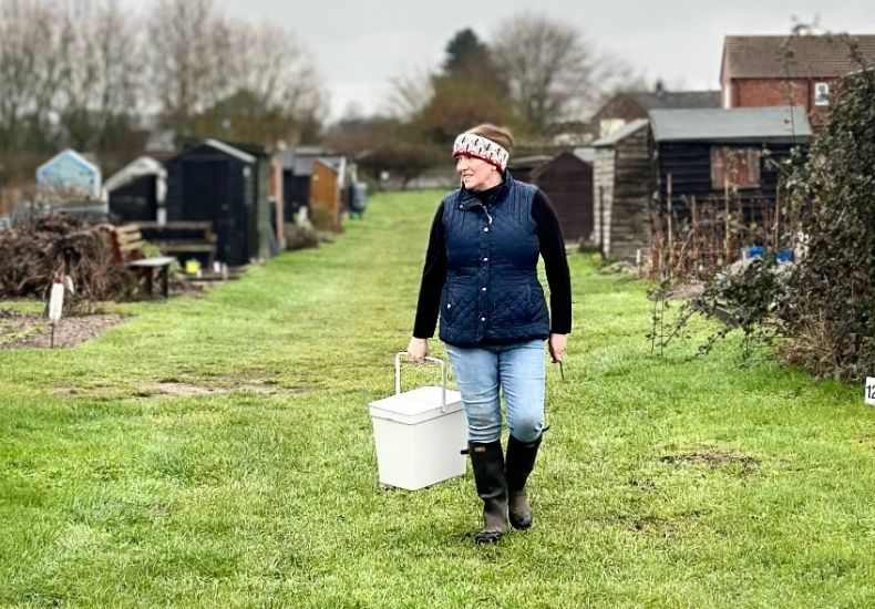 Allotmenteer walking along winter plots carrying a white trug.