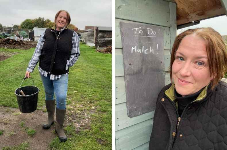 Gardener with bucket on the allotment and “To Do: Mulch!” chalkboard.