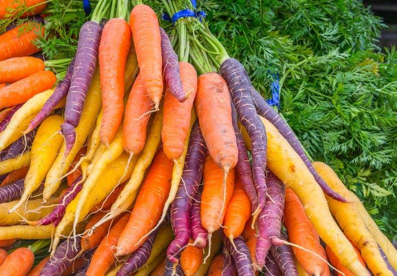 Vibrant rainbow carrots in purple, yellow, and orange hues.