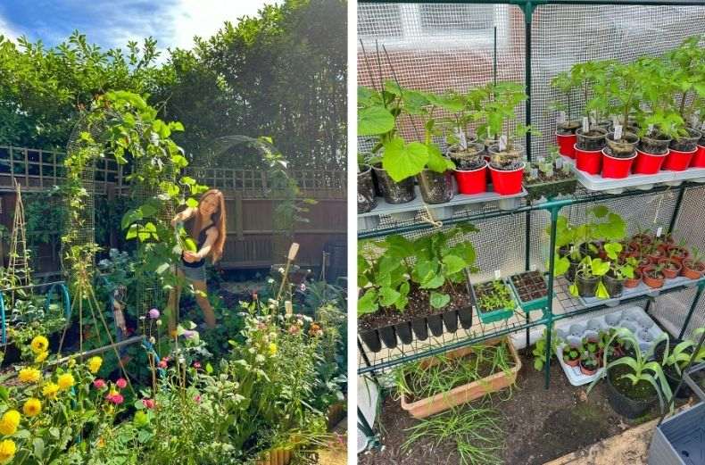 A woman in a lush garden on the left, and seedlings growing in a greenhouse on the right.