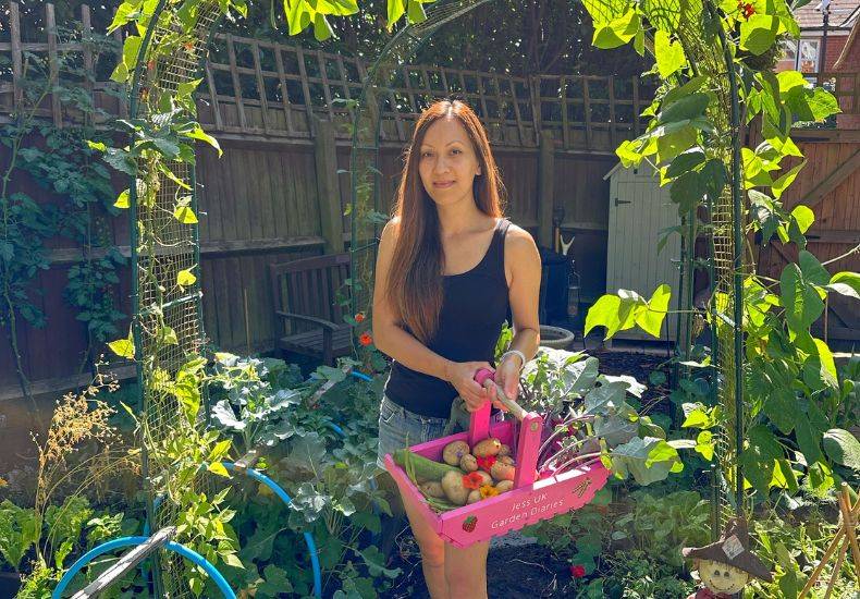 A woman holding a pink basket of potatoes in a lush garden.