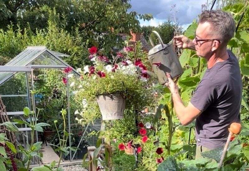 A man standing in a lush garden lifting a watering can to water trailing flowers in a hanging basket.