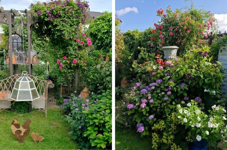 Two-panel view of a lush cottage garden featuring a flower-covered pergola, a metal garden bench, purple hydrangeas, and white petunias.