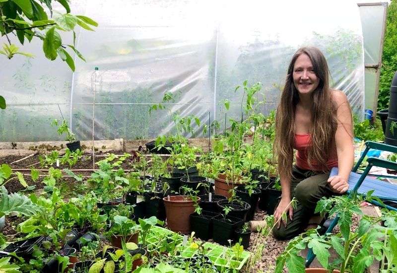 A smiling woman kneeling next to potted tomato seedlings and seed trays outside a polytunnel greenhouse in a garden.