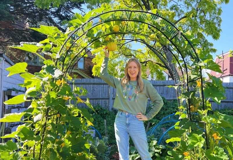 Woman reaching up to pick a squash growing on a garden arch trellis