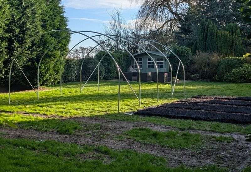 Metal polytunnel frame on lawn beside garden beds, with a green summer house and hedges in the background.