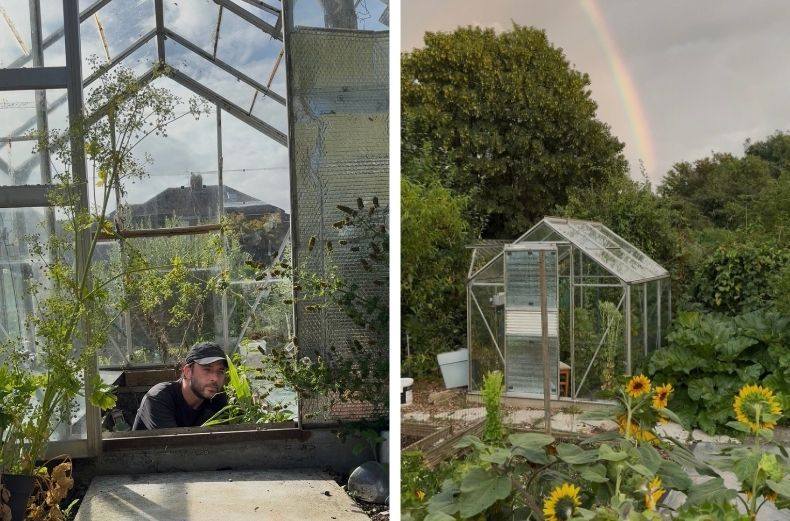 Man tending plants inside an allotment greenhouse, with a rainbow over the garden outside.