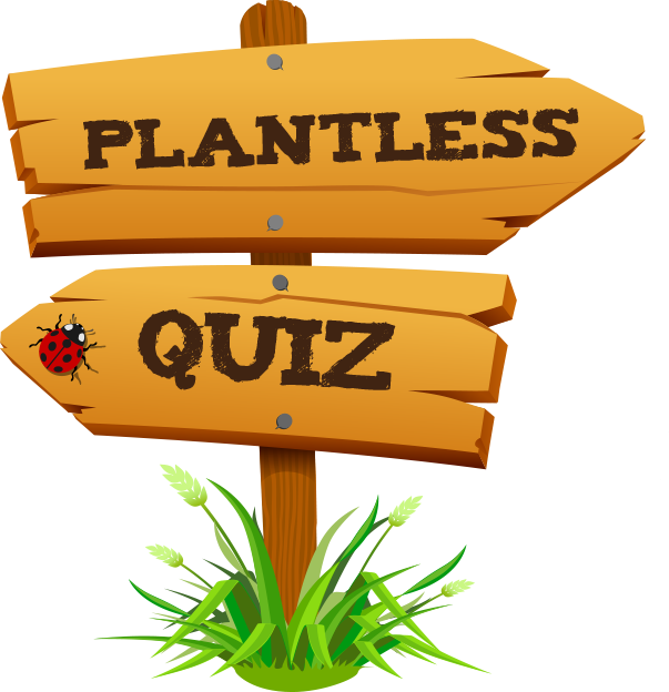 Plantless Quiz