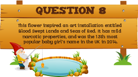 Plantless Quiz - Question Eight
