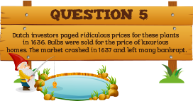 Plantless Quiz - Question Five