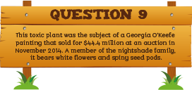 Plantless Quiz - Question Nine
