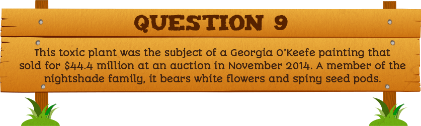 Plantless Quiz - Question Nine
