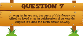 Plantless Quiz - Question Seven